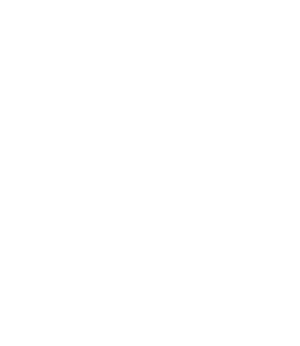 Yapady Logo